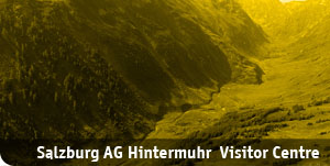 hintermuhr